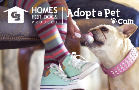 Coldwell Banker National Adopt-A-Pet Weekend